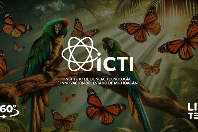 An image of the Conservation and Environment project.